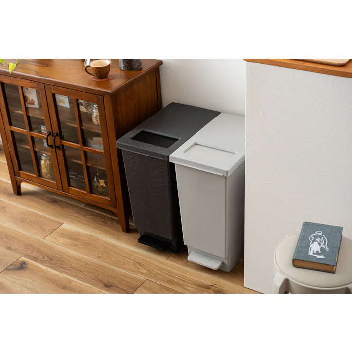 Room Essence トラッシュカン 45L W26.5×D45.5×H55.5 グレー 完成品 ゴミ箱 45リットル おしゃれ 分別 ごみ箱 プッシュ型 ペダル型 ダストボックス 蓋付き キッチン 45L フタ付き 縦型 シンプル 北欧 韓国 コンパクト LFS-861GY【別送品】