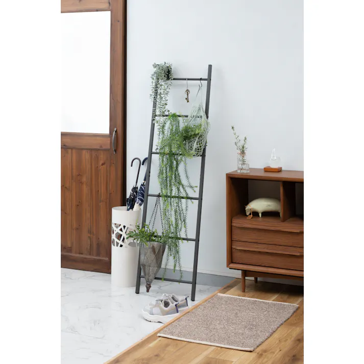 Room Essence ラダーハンガー W40×D2×H150.5 ダークグレー 組立式 ハンガーラック ハンガー 立てかけ ハンガーラック 収納 装飾 インテリア 室内 スリム コンパクト 省スペース 軽量 軽い シンプル スタイリッシュ 壁面 はしご風 モノトーン MIP-17DGY【別送品】