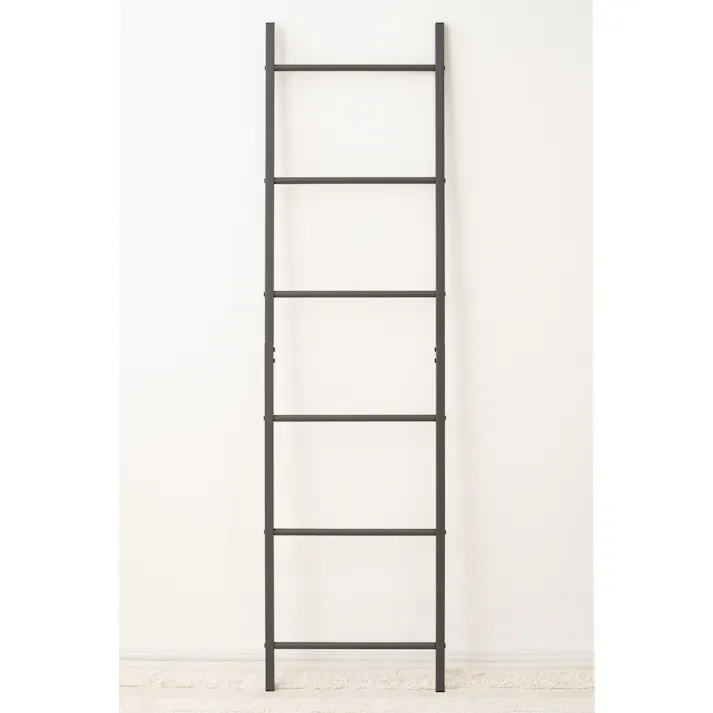 Room Essence ラダーハンガー W40×D2×H150.5 ダークグレー 組立式 ハンガーラック ハンガー 立てかけ ハンガーラック 収納 装飾 インテリア 室内 スリム コンパクト 省スペース 軽量 軽い シンプル スタイリッシュ 壁面 はしご風 モノトーン MIP-17DGY【別送品】