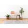 Room Essence チェア W45×D54.5×H77×SH45 コーラル 組立式 椅子 イス ダイニング デスク おしゃれ 幅45 座面高45 北欧 韓国 韓国風 かわいい シェル型 ペールカラー 一人掛け ドレッサー コーラル PC-621CO【別送品】