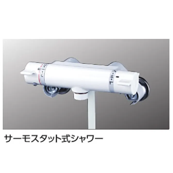 KVK サーモスタット式シャワー・グロスホワイト KF800NNC4【別送品】