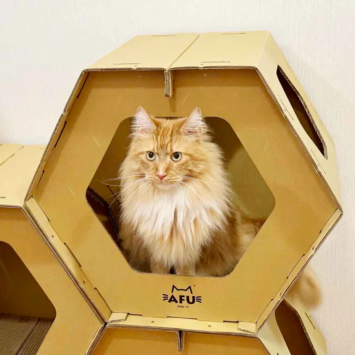 後藤家具物産 ハニカムハウス 爪とぎ付きハニカムハウス5個セット 145×38×100 CAT-HCH-5 猫用品 キャットハウス 強化段ボール 4570133302785【別送品】