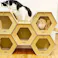 後藤家具物産 ハニカムハウス 爪とぎ付きハニカムハウス5個セット 145×38×100 CAT-HCH-5 猫用品 キャットハウス 強化段ボール 4570133302785【別送品】