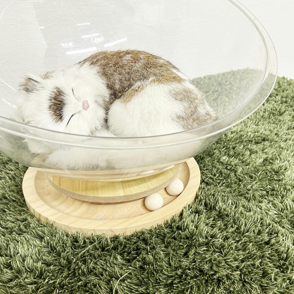 猫飼ってます 29007-251-