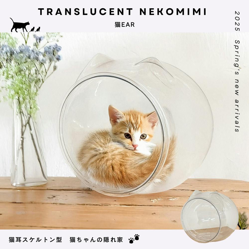 ねこ Amazon | ねこのきもち 岩合光昭 「ねこ22」 キャプテン・トニー