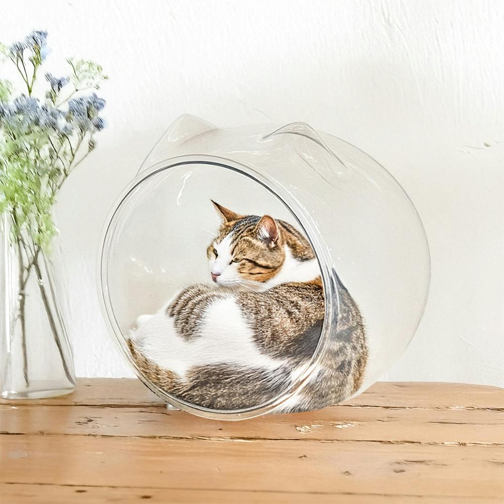 NO.2903✤失われた野生ねこ matte(艶消し) ハンドメイド チャーム NO