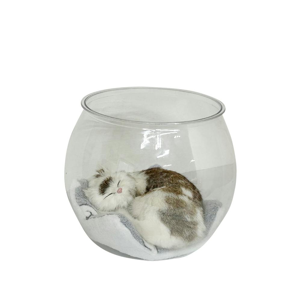 後藤家具物産 猫金魚鉢 猫ベッド クリア 27×27×28 CAT-NEKOFISHBOWL 猫玩具 スケルトン 4570133304154 猫用ベッド 後藤家具物産 猫金魚鉢 猫ベッド クリア 27×27×28 CAT-NEKOFISHBOWL 猫玩具 スケルトン 4570133304154 猫用ベッド