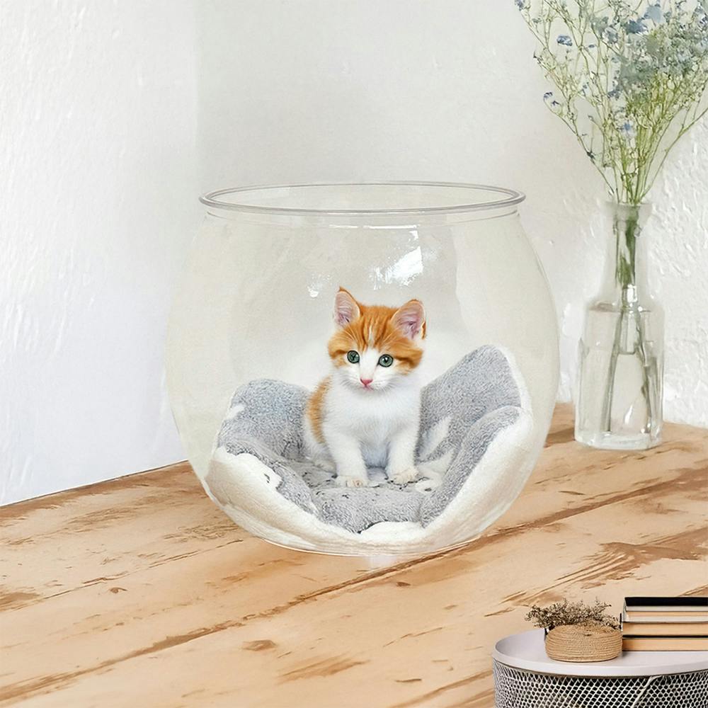 後藤家具物産 猫金魚鉢 猫ベッド クリア 27×27×28 CAT