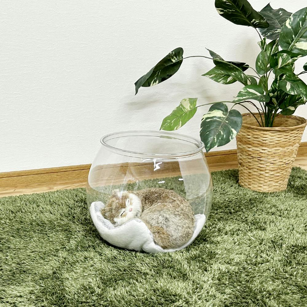 ⭐︎猫猫様⭐︎  金魚鉢＋五脚台 後藤家具物産 猫金魚鉢 猫ベッド クリア 27×27×28 CAT