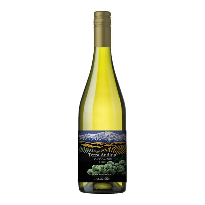 (チリ)テラ アンディーナ シャルドネ 750ml【別送品】