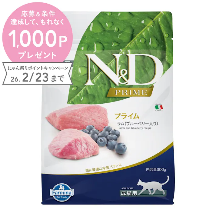 N&D プライム ラム ブルーベリー 成猫用 300g