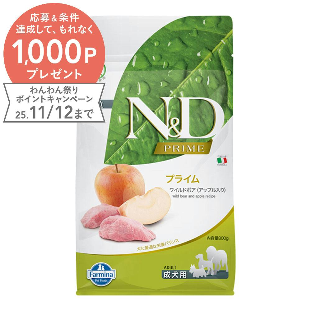 N＆D プライム ワイルドボア アップル 成犬用 800g | ペット用品