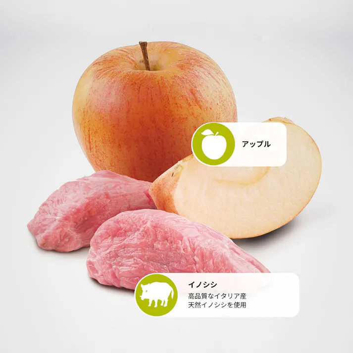 N&D プライム ワイルドボア アップル 成犬用 2.5kg