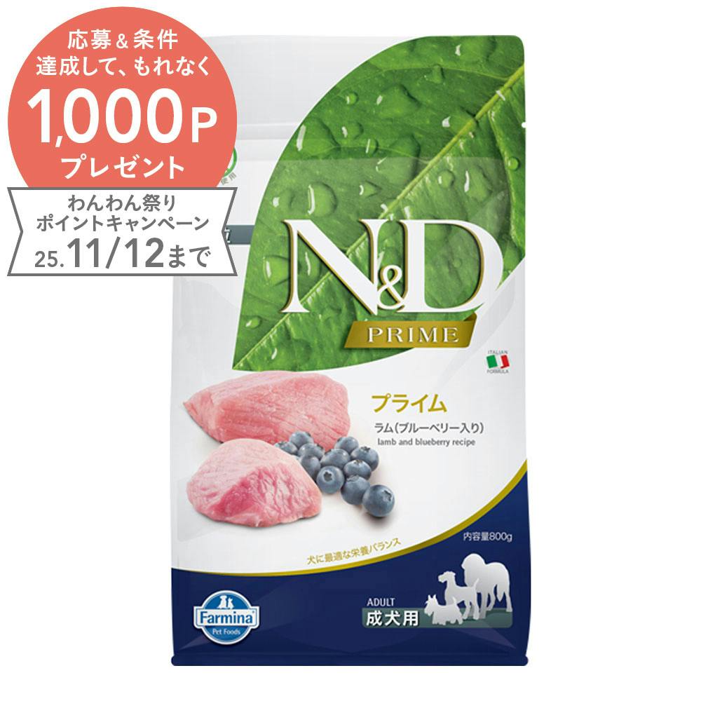 N＆D パンプキン ラム ブルーベリー 成犬用 800g | ペット用品