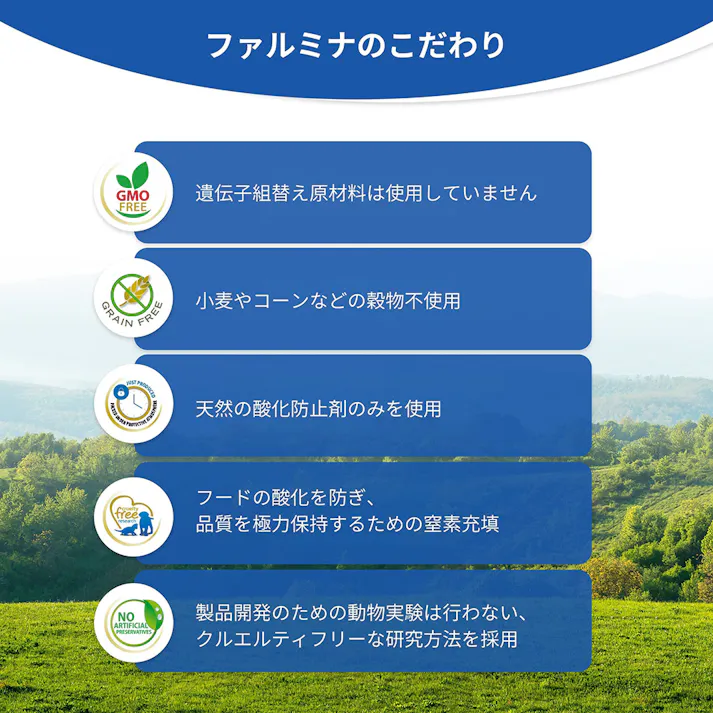 N&D パンプキン ワイルドボア アップル 成犬用 800g