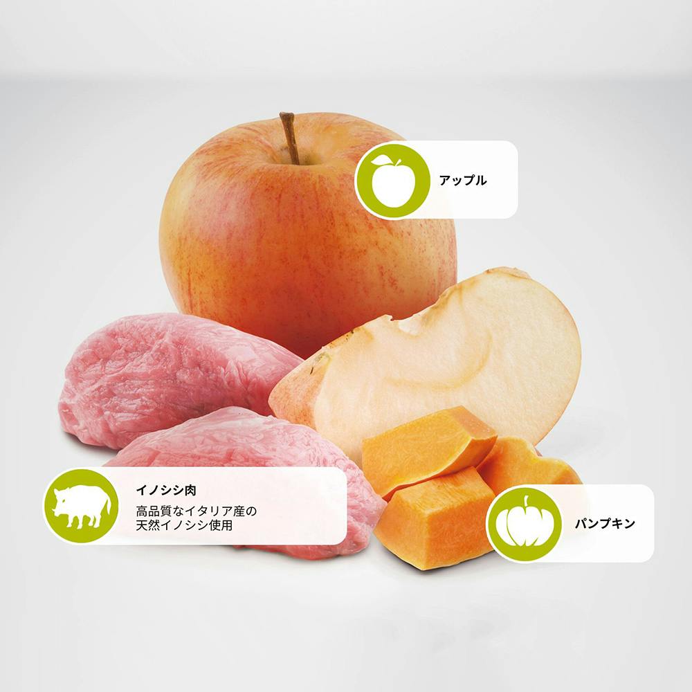 N＆D パンプキン ワイルドボア アップル 成犬用 2.5kg | ペット