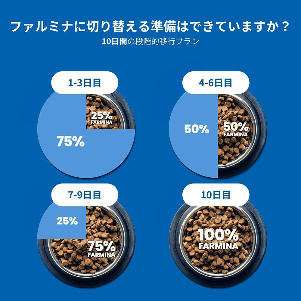 N＆D パンプキン ワイルドボア アップル 成犬用 2.5kg