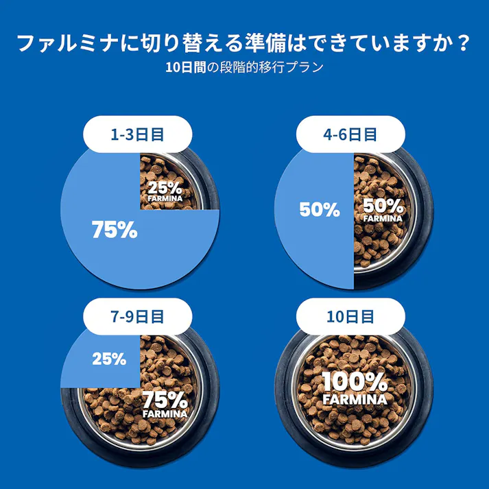 N&D キヌア ダイジェスチョン(お腹の健康サポート) 成犬用 800g