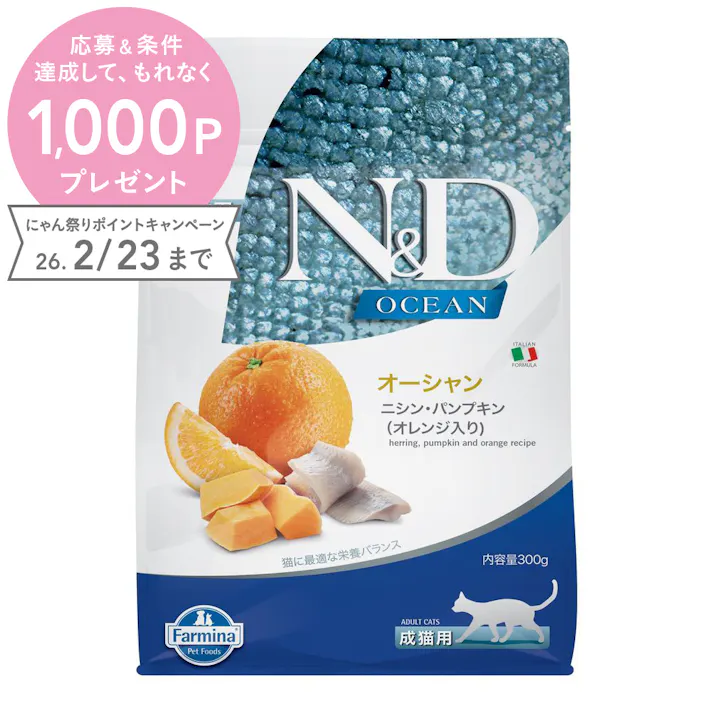 N&D オーシャン ニシン・パンプキン オレンジ 成猫用 300g