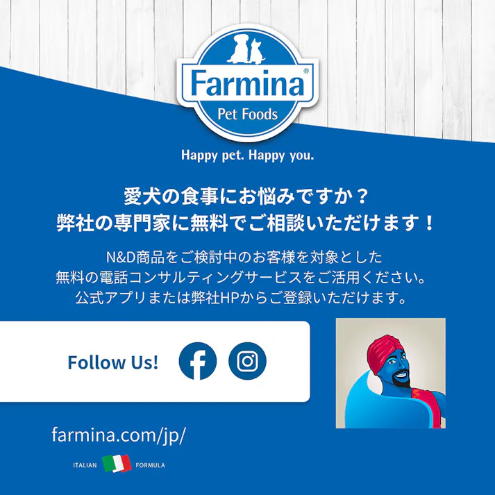 N&D キヌア ダイジェスチョン(お腹の健康サポート) 成犬用 2.5kg