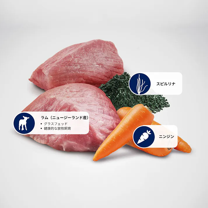 N&D ブラウン ラム スピルリナ 成犬用 2kg