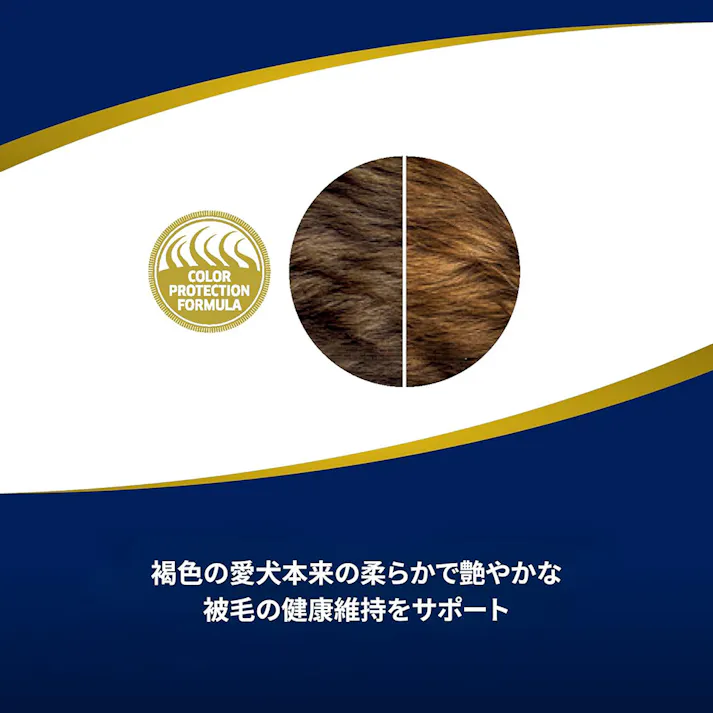 N&D ブラウン ラム スピルリナ 成犬用 2kg