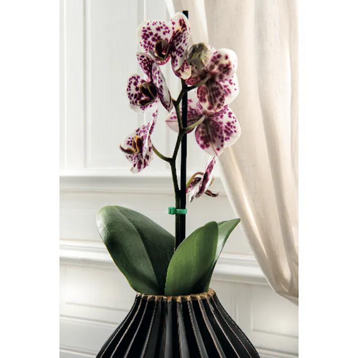 【CAINZ-DASH】SapiSelco社 セルフィット カラーケーブルタイ緑 2.5mm×100mm SEL.12.202R【別送品】