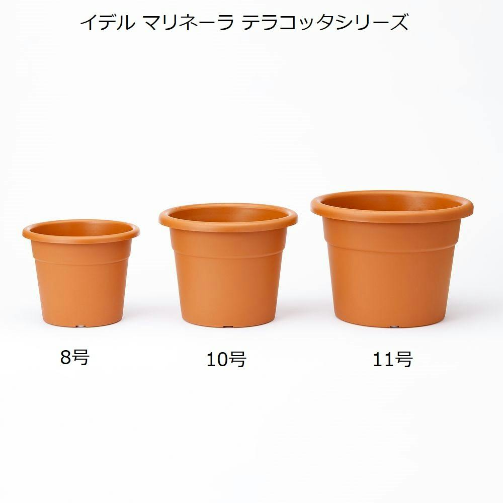 イデル マリネーラ 口径35cm テラコッタ 11号 | 鉢・プランター・花台