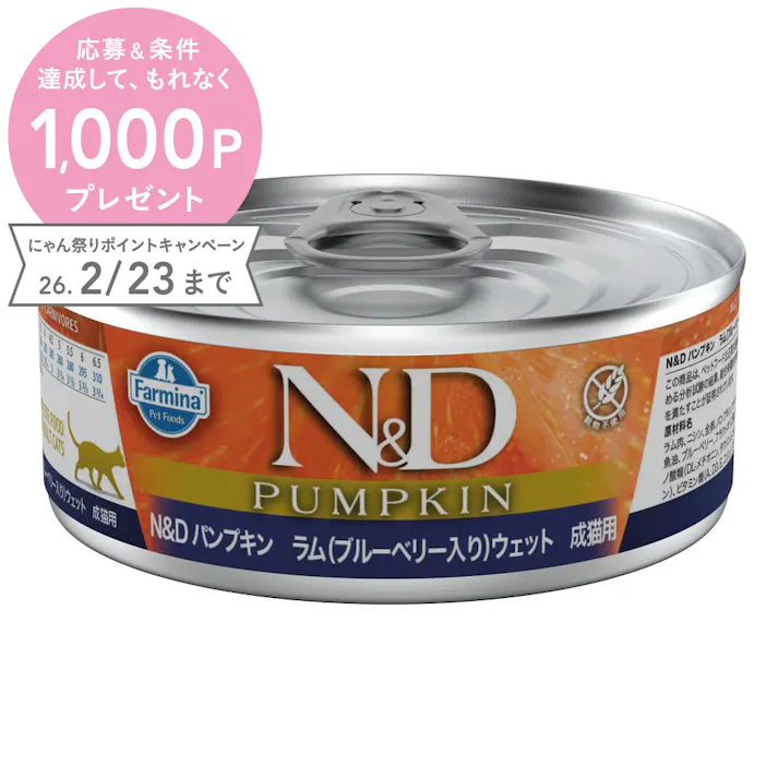N&D パンプキン ラム ブルーベリー ウェット 成猫用 70g