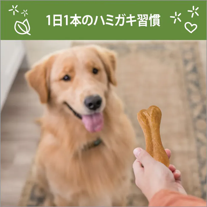 ウィムズィーズ ライスボーン M~L 9本入