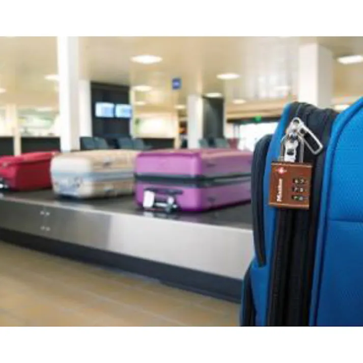 マスターロック 4692JADGRY 可変式TSAロック グレー(CDC)【別送品】