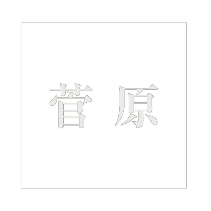 ハイロジック キリモジ 明朝 パールグレー 200×200ミリ用 菅原 JANコード:4549396369767(CDC)【ネット注文限定・別送品】