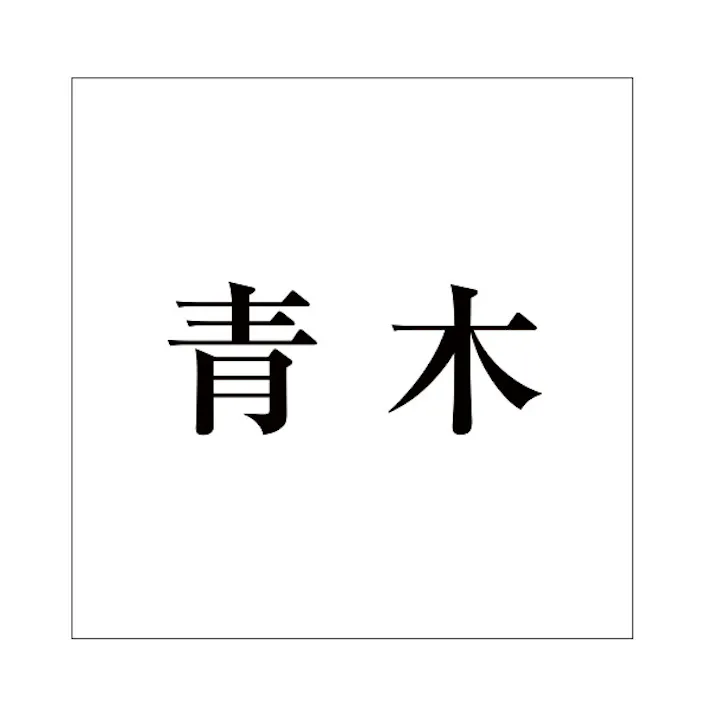ハイロジック キリモジ 明朝 ブラック 100×100ミリ用 青木 JANコード:4549396377410(CDC)【ネット注文限定・別送品】