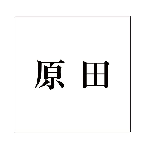 ハイロジック キリモジ 明朝 ブラック 100×100ミリ用 原田 JANコード:4549396377489(CDC) フック・吸盤 ハイロジック キリモジ 明朝 ブラック 100×100ミリ用 原田 JANコード:4549396377489(CDC) フック・吸盤
