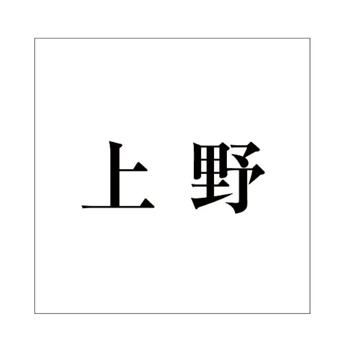 ハイロジック キリモジ 明朝 ブラック 100×100ミリ用 上野 JANコード:4549396377809(CDC)【ネット注文限定・別送品】