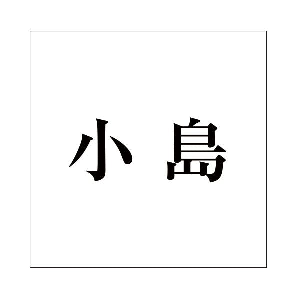 ハイロジック キリモジ 明朝 ブラック 100×100ミリ用 小島 JANコード:4549396377854(CDC) フック・吸盤 ハイロジック キリモジ 明朝 ブラック 100×100ミリ用 小島 JANコード:4549396377854(CDC) フック・吸盤