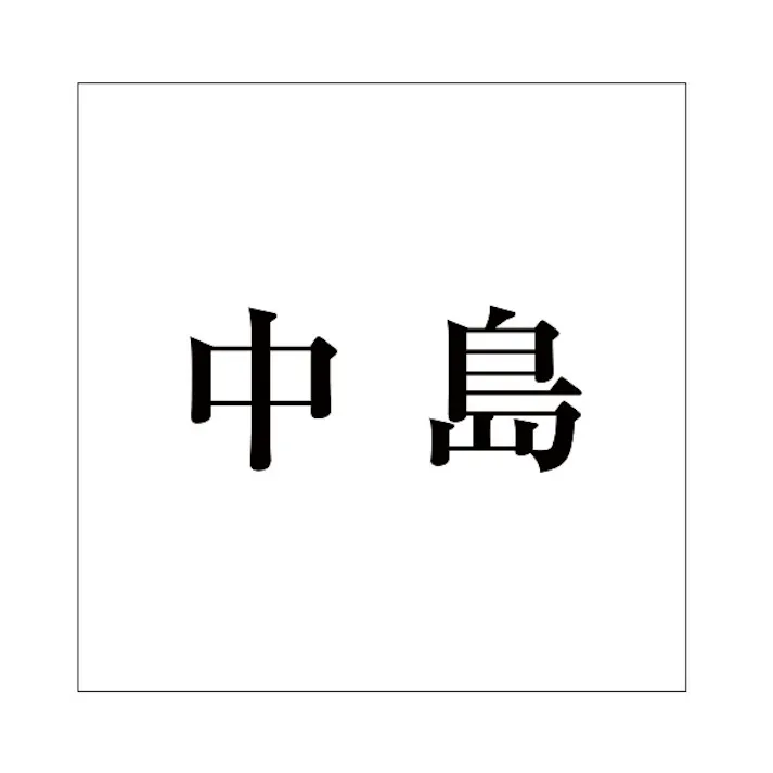 ハイロジック キリモジ 明朝 ブラック 160×160ミリ用 中島 JANコード:4549396378271(CDC)【ネット注文限定・別送品】