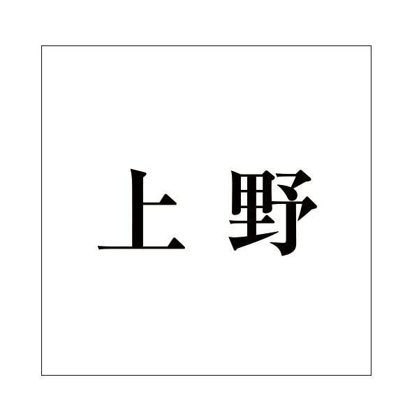 ハイロジック キリモジ 明朝 ブラック 200×200ミリ用 上野 JANコード:4549396379803(CDC) フック・吸盤 ハイロジック キリモジ 明朝 ブラック 200×200ミリ用 上野 JANコード:4549396379803(CDC) フック・吸盤