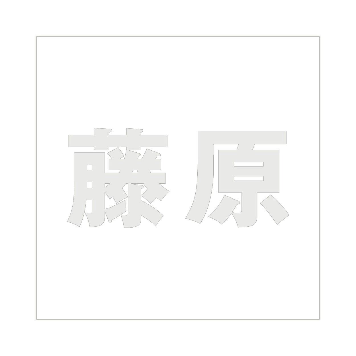ハイロジック キリモジ ゴシック パールグレー 200×200ミリ用 藤原 JANコード:4549396384456(CDC) フック・吸盤 ハイロジック キリモジ ゴシック パールグレー 200×200ミリ用 藤原 JANコード:4549396384456(CDC) フック・吸盤