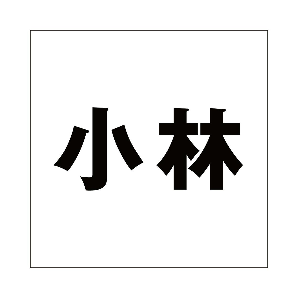 ハイロジック キリモジ ゴシック ブラック 160×160ミリ用 小林 JANコード:4549396394097(CDC) フック・吸盤 ハイロジック キリモジ ゴシック ブラック 160×160ミリ用 小林 JANコード:4549396394097(CDC) フック・吸盤
