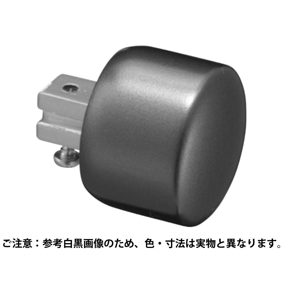 シロクマ BR-753 スマートラインエンドキャップ35径シルバー JANコード:4936350117449(CDC) フック・吸盤 シロクマ BR-753 スマートラインエンドキャップ35径シルバー JANコード:4936350117449(CDC) フック・吸盤