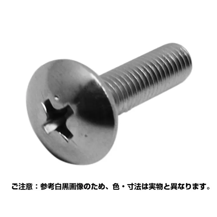 コノエ (プラス)トラス小ネジ ステンレス 6x12 入数500 JANコード:4997265103620(CDC)【別送品】