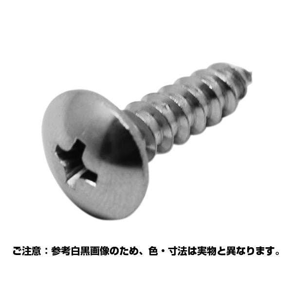 コノエ トラスタッピング1種A型 ステンレス 4x10 入数1000 JANコード:4997265103927(CDC) タッピングねじ コノエ トラスタッピング1種A型 ステンレス 4x10 入数1000 JANコード:4997265103927(CDC) タッピングねじ