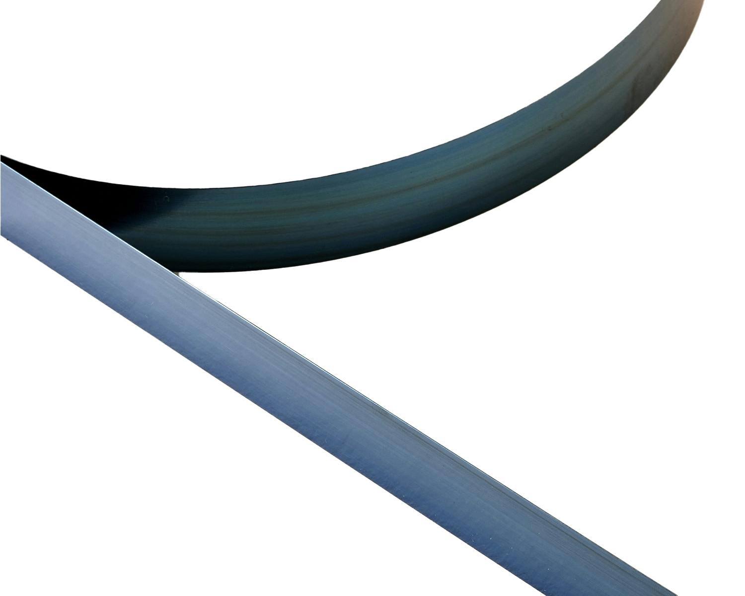 泰豊トレーディング 焼入リボン 0.3×10×1000mm 4940372004366 (CDC) 金属素材