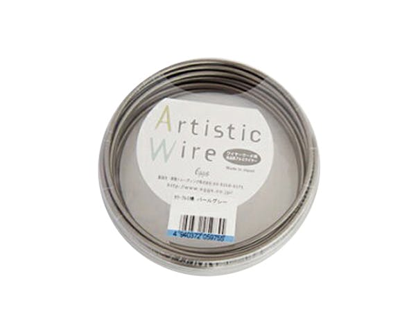 זLg[fBO J[A~  2.5×5m 4940372059823 (CDC) f