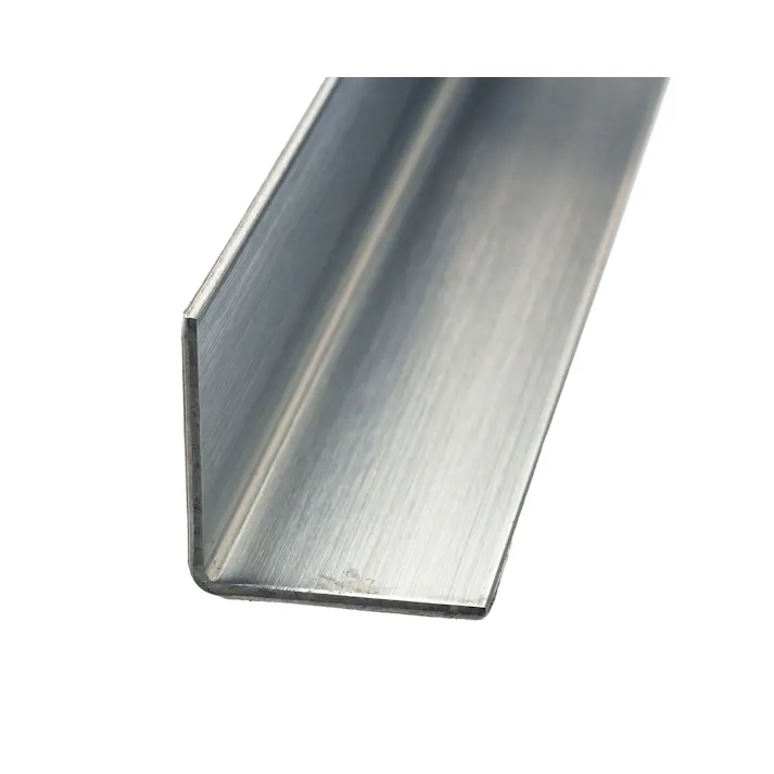 泰豊トレーディング ステンレスアングル 1.0×19×2000mm 4940372072426 (CDC)【別送品】