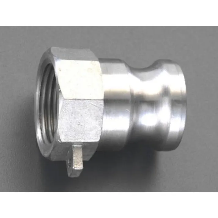 ESCO G 2" 雌ねじプラグ(ステンレス製) カップリングEA462DS-20 4518340656338(CDC)【別送品】