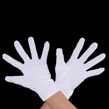 ウインセス [LL] 手袋(厚手･ナイロン･マチ付/12双) 手袋･腕カバーEA354AA-85 4550061944943(CDC)【別送品】