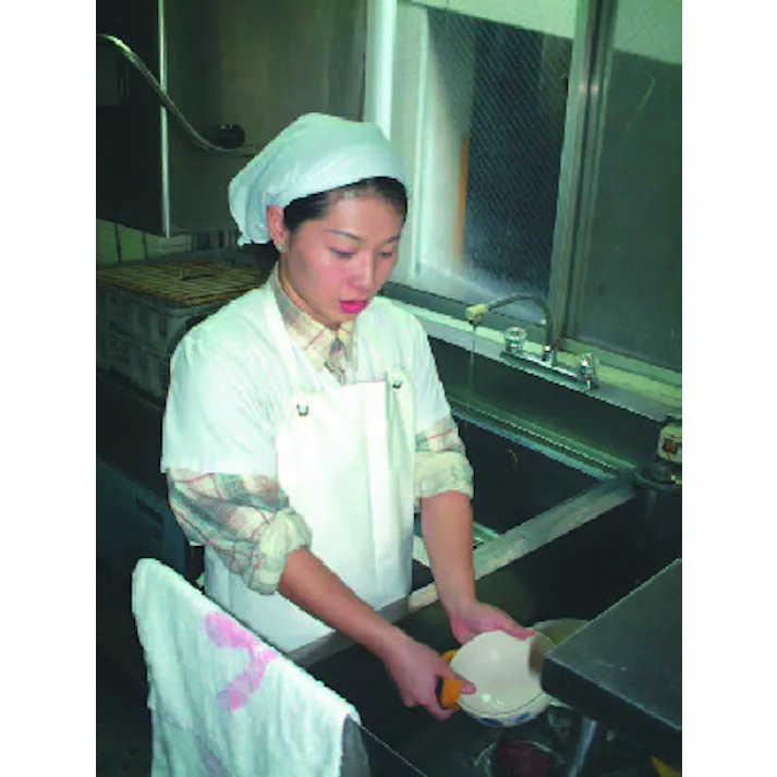 エプロン(ターポリン製) 130x118cm EA355BA-13 4518340896758【別送品】