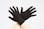 ESCO [フリー/180mm] 手袋・インナー(ナイロン/ブラック) 手袋･腕カバーEA354C-12 4518340121232(CDC)【別送品】